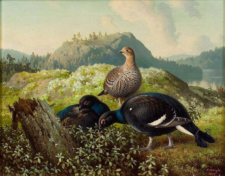 Ferdinand von Wright Black Grouses